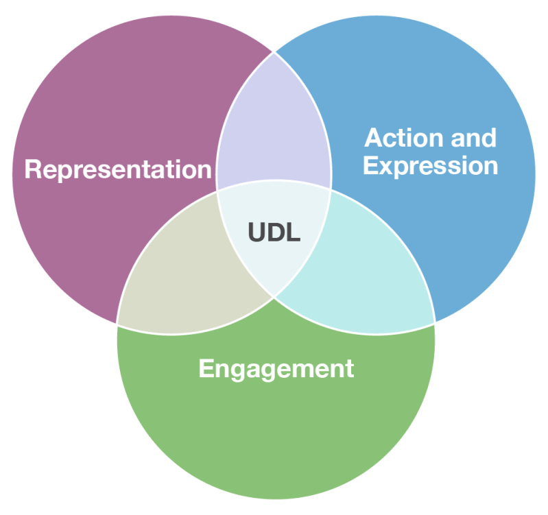 Universal Design for Learning graphic